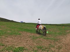 -扁都口生态休闲旅游区