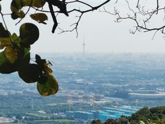 -北京西山国家森林公园