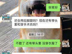 -立德动物医院·重症转诊·24H夜诊·CT·心脏彩超(顺德中心分院)