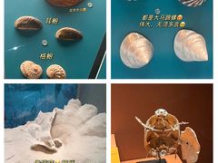 -天津自然博物馆