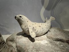 -中国湿地博物馆