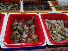 -龙眼市场(龙眼南路店)