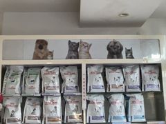 -瑞派·关忠动物医院·猫专科·犬专科(三环新城店)
