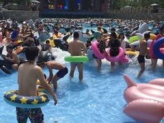 -抚顺中伟假日国际酒店