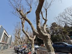 -五卅路体育馆
