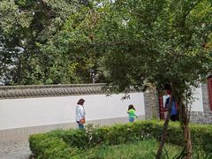 -杨家埠民间艺术大观园