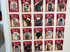 -凯德广场(武胜路店)