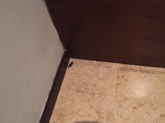-三亚湾红树林度假世界(木棉酒店)