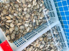 -富临港·蒸汽海鲜·手抓海鲜·炒菜(栈桥店)