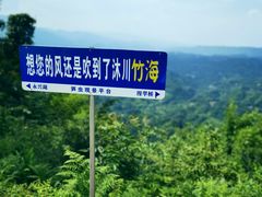 -沐川竹海旅游景区