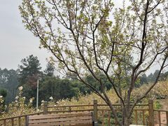 -樱桃山旅游景区