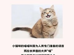 -爱侣宠医·鹦鹉专科·小型哺乳类·异宠专科(灵石路店)