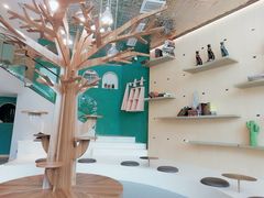 -飞行喵MR PILOT|猫舍·猫咖(静安大融城店)