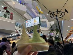 -野人先生Gelato(上海长宁龙之梦店)