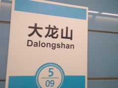 -大龙山(地铁站)