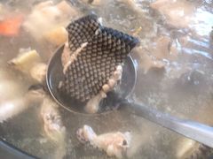 -荔城生鲜盛宴(番禺旗舰店)