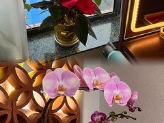 -沐森 •疗愈头疗馆(打浦桥店)