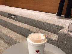 -代数学家algebraist(苏州中心店)