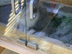 小兔砸-小意思咖啡店(草桥店)