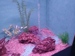 -常州海昌海洋探索馆