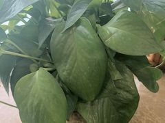 -直隶安家罩饼(复兴路店)