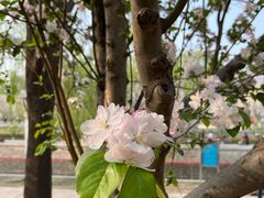 -元大都城垣遗址公园