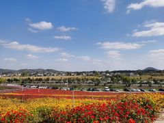-六合国家地质公园桂子山景区