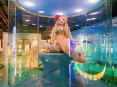 -成都泰迪熊博物馆