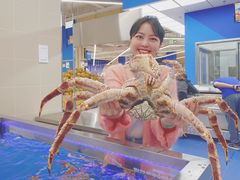 -盒马X会员店(上海森兰商都店)