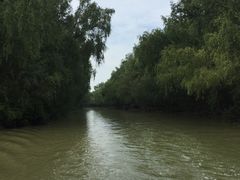 -大湾区中央湿地公园