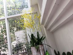 -拾壹cafe·工作室