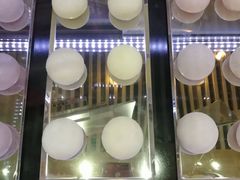 -西树泡芙(北京金源2店)