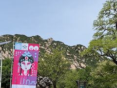 -北京凤凰岭