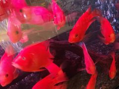 -味界·精致赣菜(招商花园城店)