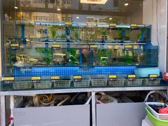 门面-富临港·蒸汽海鲜·手抓海鲜·炒菜(栈桥店)