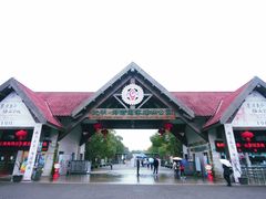 -上海海湾国家森林公园