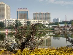 -雁滩公园