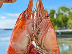 -品鲜村农家菜·阳澄湖大闸蟹(总店)