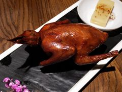 红烧鸽-大鸽饭(岗顶店)