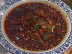 -院8里·少城记忆老川菜(宽窄巷子店)