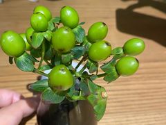 -gaga(深圳南山益田假日广场店)