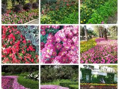 -人民公园(罗湖区)