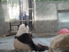 -西安秦岭野生动物园