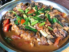 啤酒鱼-柴火农家饭(遇龙河店)