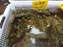 -老虎滩船说·海胆水饺·大连海鲜(老虎滩店)