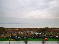 -七的湖·晚芳亭·阳澄湖农家菜·大闸蟹(莲花岛店)