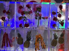 -奥体中心(地铁站)