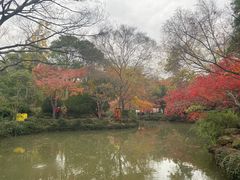 -秋霞圃