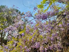 -时间仓(月湖公园店)