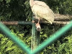 -秦皇岛野生动物园